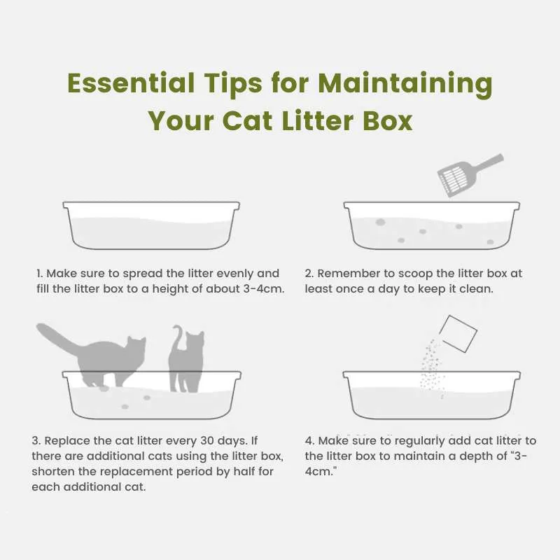 Extra-Large Semi-Enclosed Stainless Steel Litter Box with Splash Guard Design